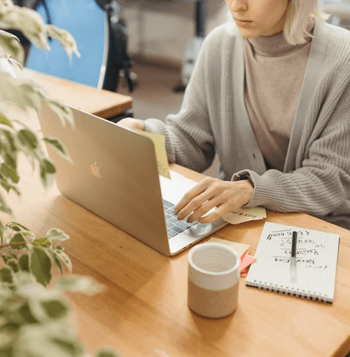 Bitrain Vexmor support team illustration